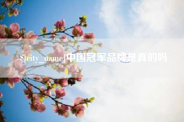 郴州中国冠军品牌是真的吗
