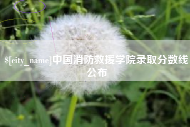 郴州中国消防救援学院录取分数线公布