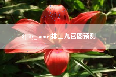 郴州排三九宫图预测