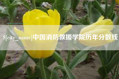 郴州中国消防救援学院历年分数线