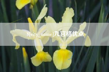 郴州九宫格优点