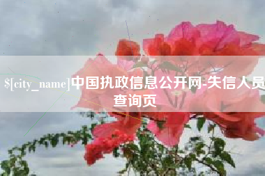 郴州中国执政信息公开网-失信人员查询页