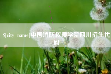 郴州中国消防救援学院四川招生代码