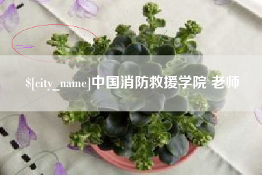 郴州中国消防救援学院 老师