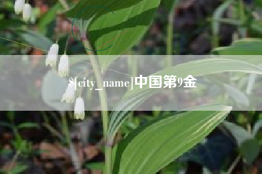 郴州中国第9金