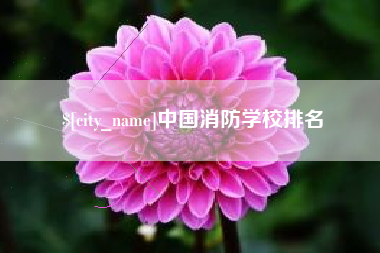 郴州中国消防学校排名
