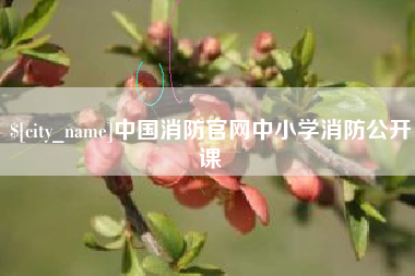 郴州中国消防官网中小学消防公开课