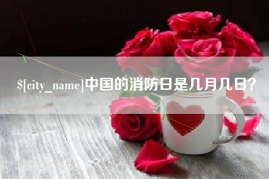 郴州中国的消防日是几月几日？