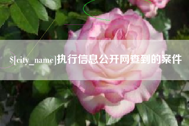 郴州执行信息公开网查到的案件