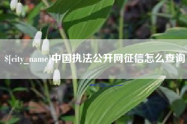 郴州中国执法公开网征信怎么查询