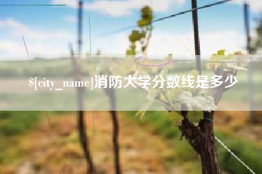郴州消防大学分数线是多少