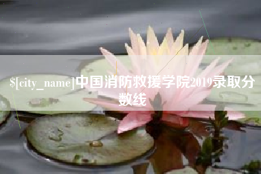 郴州中国消防救援学院2019录取分数线
