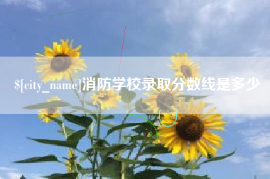 郴州消防学校录取分数线是多少