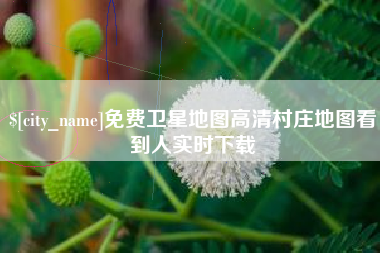 郴州免费卫星地图高清村庄地图看到人实时下载