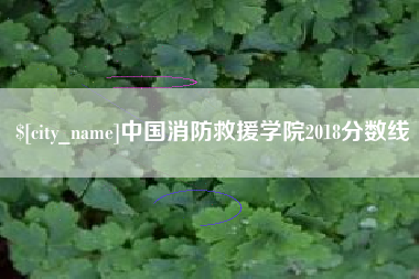 郴州中国消防救援学院2018分数线