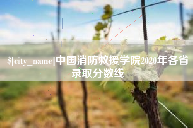 郴州中国消防救援学院2020年各省录取分数线