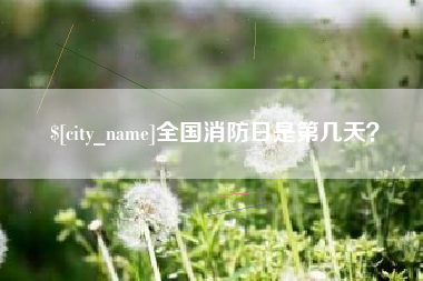 郴州全国消防日是第几天？