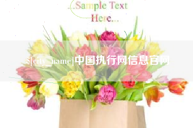 郴州中国执行网信息官网