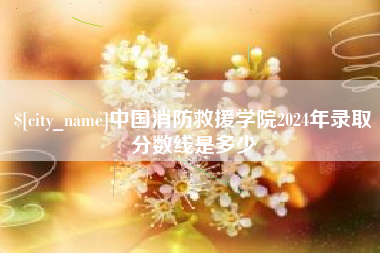 郴州中国消防救援学院2024年录取分数线是多少