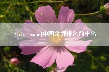 郴州中国金牌排名前十名