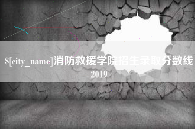 郴州消防救援学院招生录取分数线2019