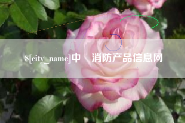 郴州中囯消防产品信息网