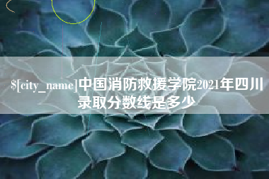 郴州中国消防救援学院2021年四川录取分数线是多少