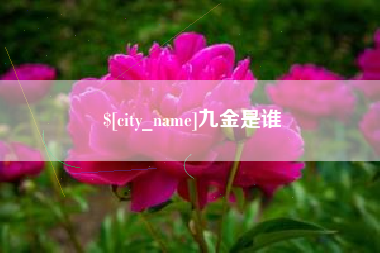 郴州九金是谁