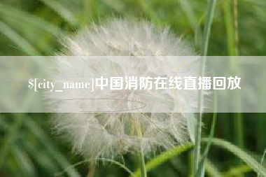 郴州中国消防在线直播回放