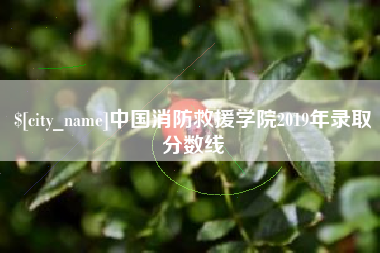 郴州中国消防救援学院2019年录取分数线