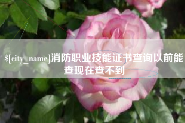 郴州消防职业技能证书查询以前能查现在查不到