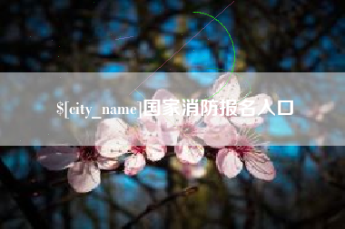 郴州国家消防报名入口