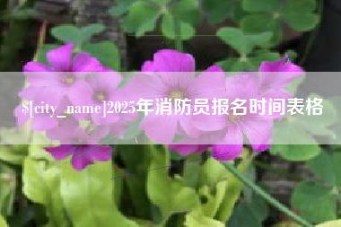 郴州2025年消防员报名时间表格