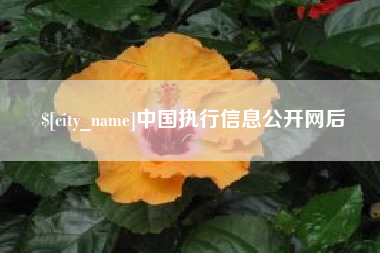 郴州中国执行信息公开网后
