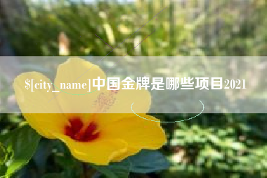 郴州中国金牌是哪些项目2021