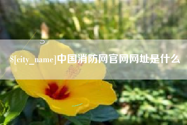 郴州中国消防网官网网址是什么