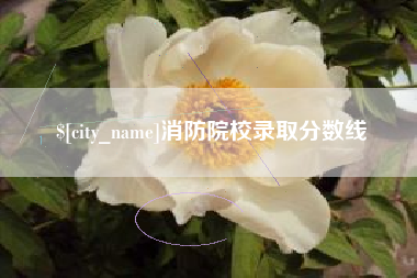 郴州消防院校录取分数线