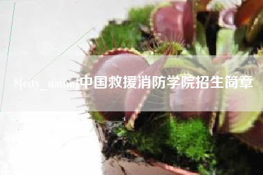 郴州中国救援消防学院招生简章