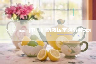 郴州中国消防救援学院分数2020