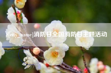 郴州消防日全国消防日主题活动