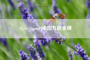 郴州中国九枚金牌