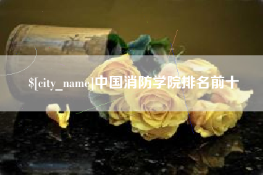 郴州中国消防学院排名前十