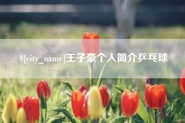 郴州王子豪个人简介乒乓球