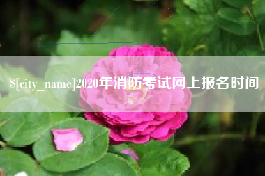 郴州2020年消防考试网上报名时间