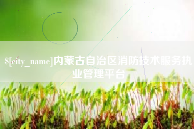 郴州内蒙古自治区消防技术服务执业管理平台