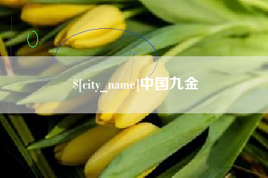 郴州中国九金