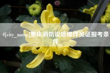 郴州重庆消防设施操作员证报考条件
