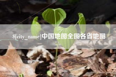郴州中国地图全图各省地图