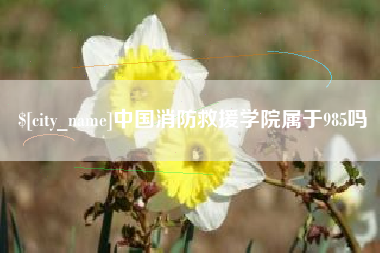 郴州中国消防救援学院属于985吗