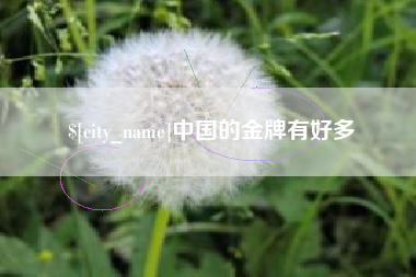 郴州中国的金牌有好多